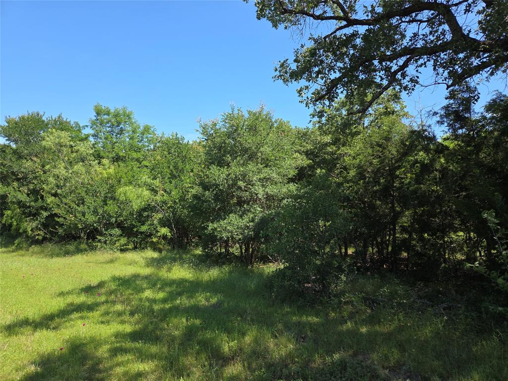 Lot 100 Lake Ridge Drive Streetman, TX 75859 - Photo 29 of 38 a view of a lush green space