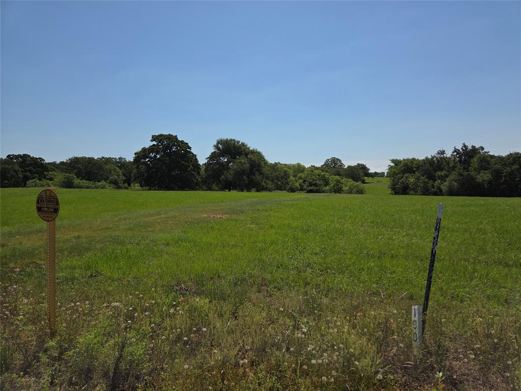 Lot 100 Lake Ridge Drive Streetman, TX 75859 - Photo 30 of 38 a view of a grassy field with trees