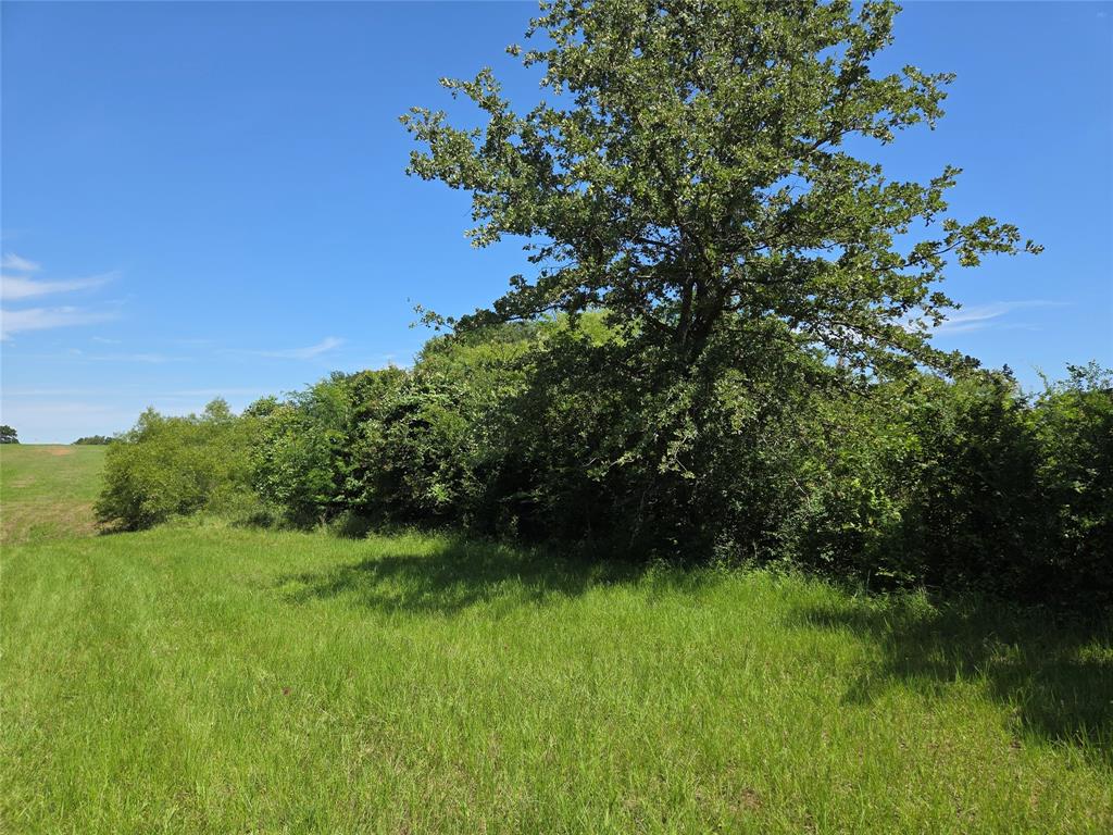 Lot 100 Lake Ridge Drive Streetman, TX 75859 - Photo 31 of 38 a view of a yard