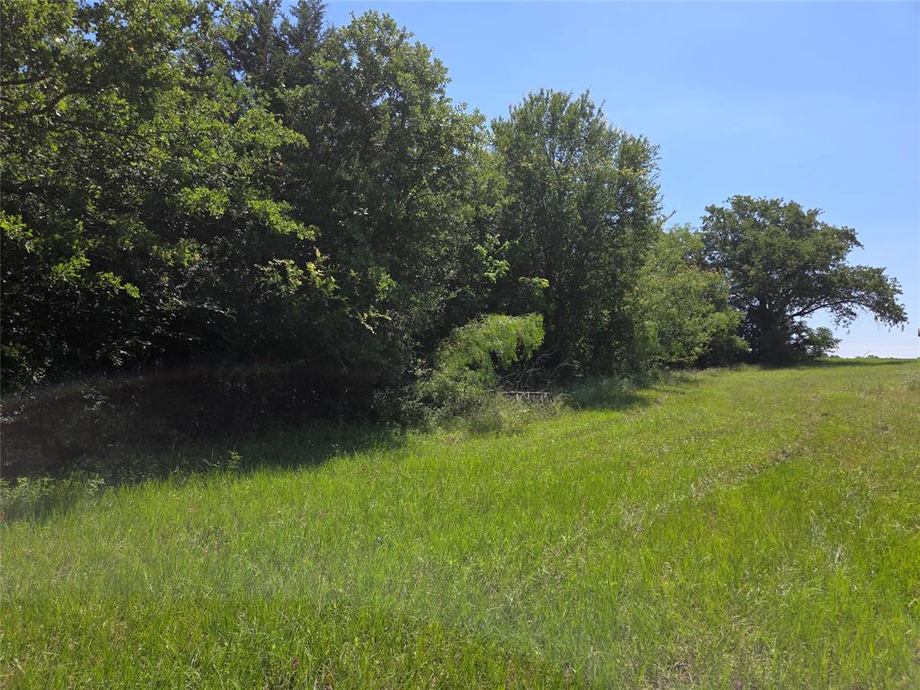 Lot 100 Lake Ridge Drive Streetman, TX 75859 - Photo 33 of 38 a view of a garden