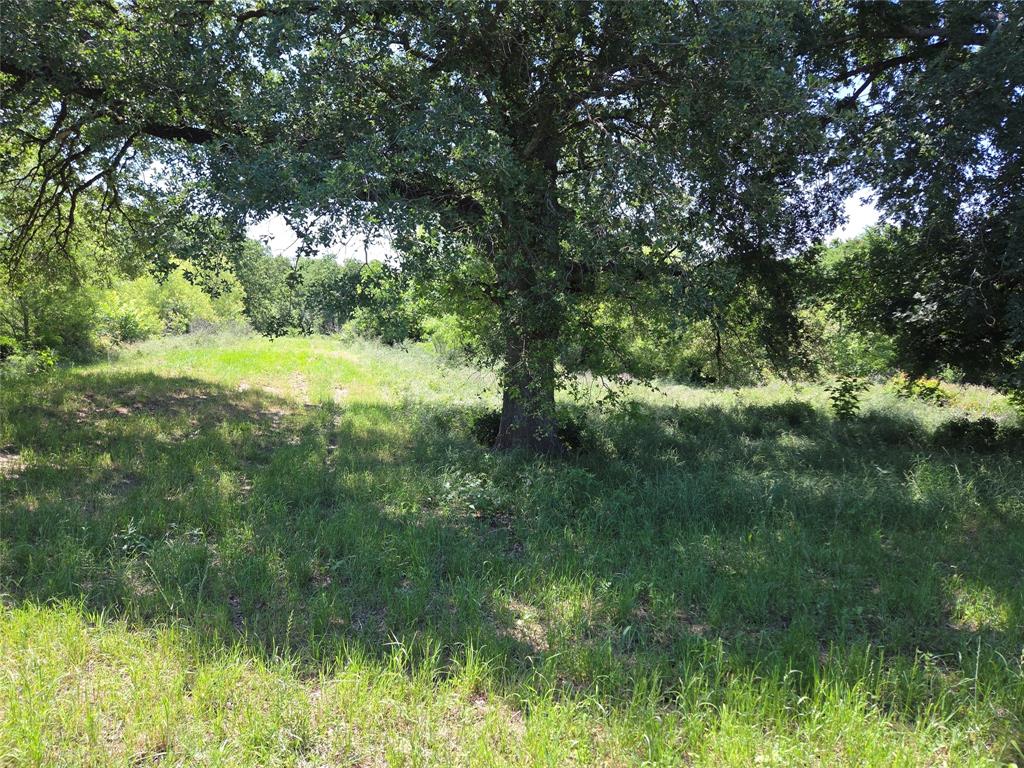 Lot 100 Lake Ridge Drive Streetman, TX 75859 - Photo 34 of 38 a view of a lush green space with sea