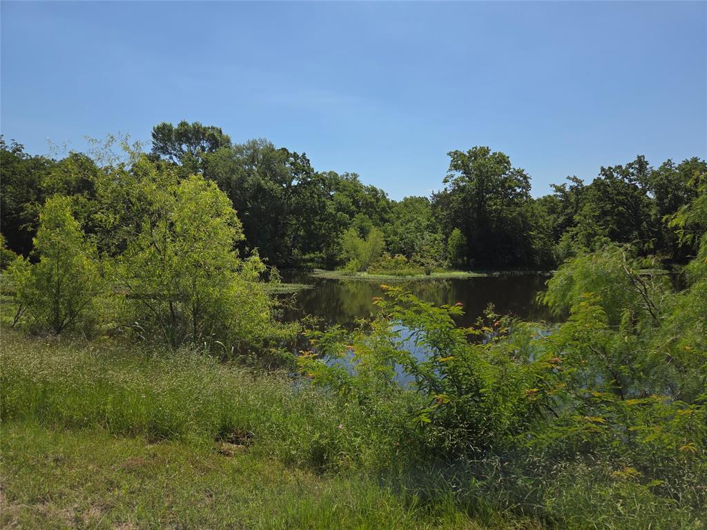 Lot 100 Lake Ridge Drive Streetman, TX 75859 - Photo 36 of 38 a view of a field of grass and trees