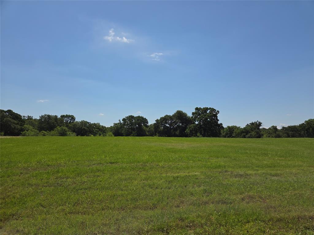 Lot 100 Lake Ridge Drive Streetman, TX 75859 - Photo 6 of 38 a view of grassy field with mountain