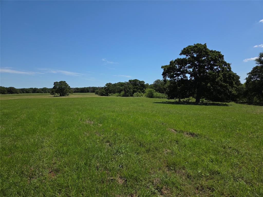 Lot 100 Lake Ridge Drive Streetman, TX 75859 - Photo 7 of 38 a view of a field