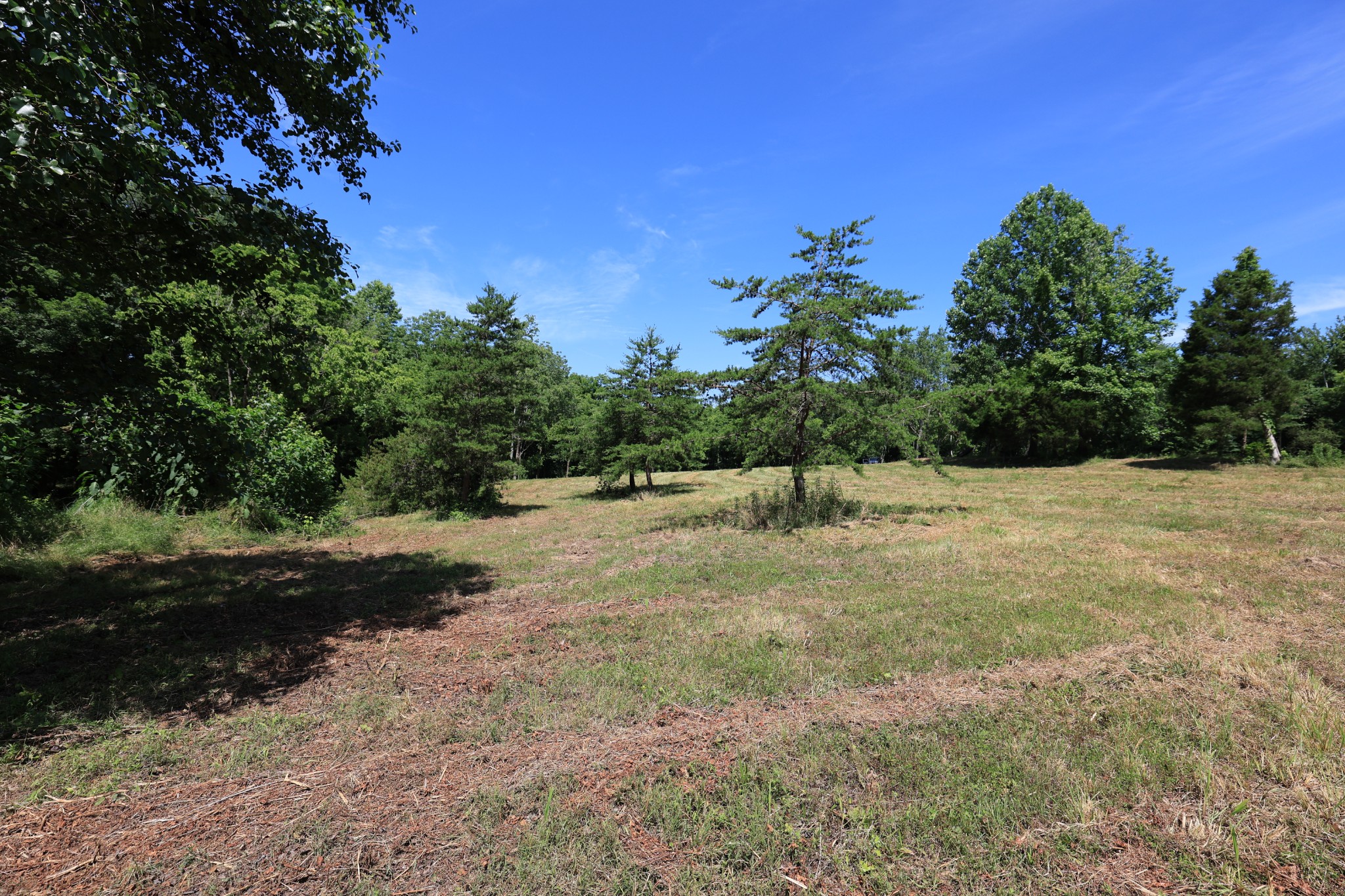 5 Poplar Ridge Lane Chapmansboro, TN 37035 - Photo 24 of 34 a view of a field with trees in the background