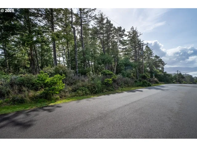 a view of a road with plants and trees in the background