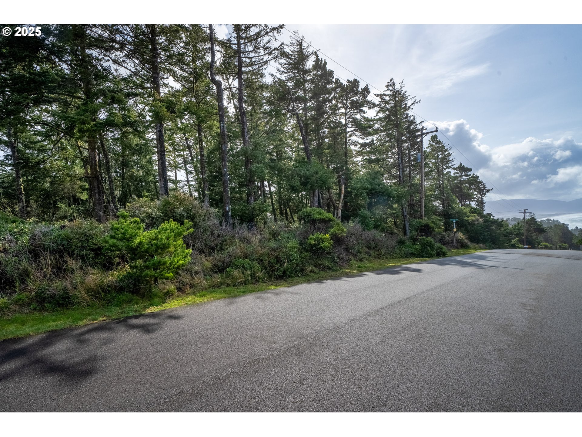 Ridgewood Road, Unit TL 303 Tillamook, OR 97141 - Photo 2 of 10 a view of a road with plants and trees in the background