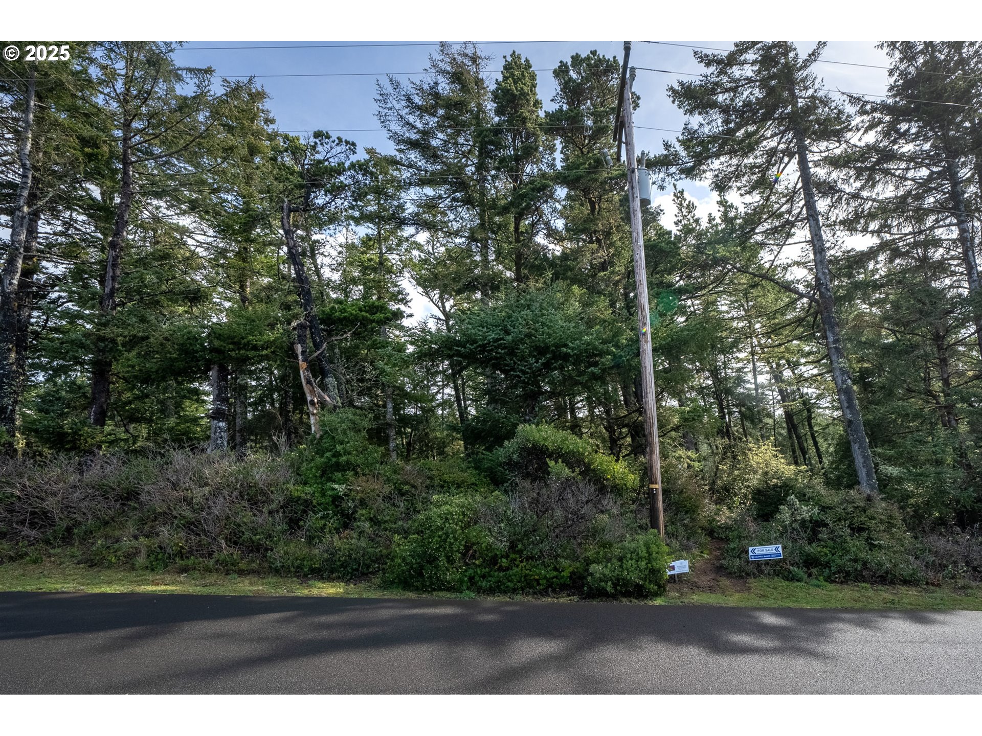 Ridgewood Road, Unit TL 303 Tillamook, OR 97141 - Photo 4 of 10 a view of outdoor space and yard