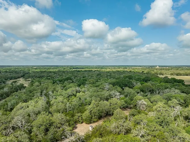 a view of a big yard with lots of green space