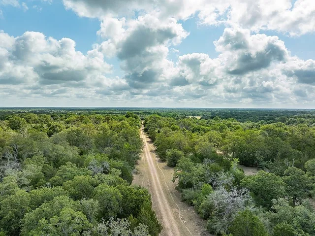 a view of a green field with lots of trees