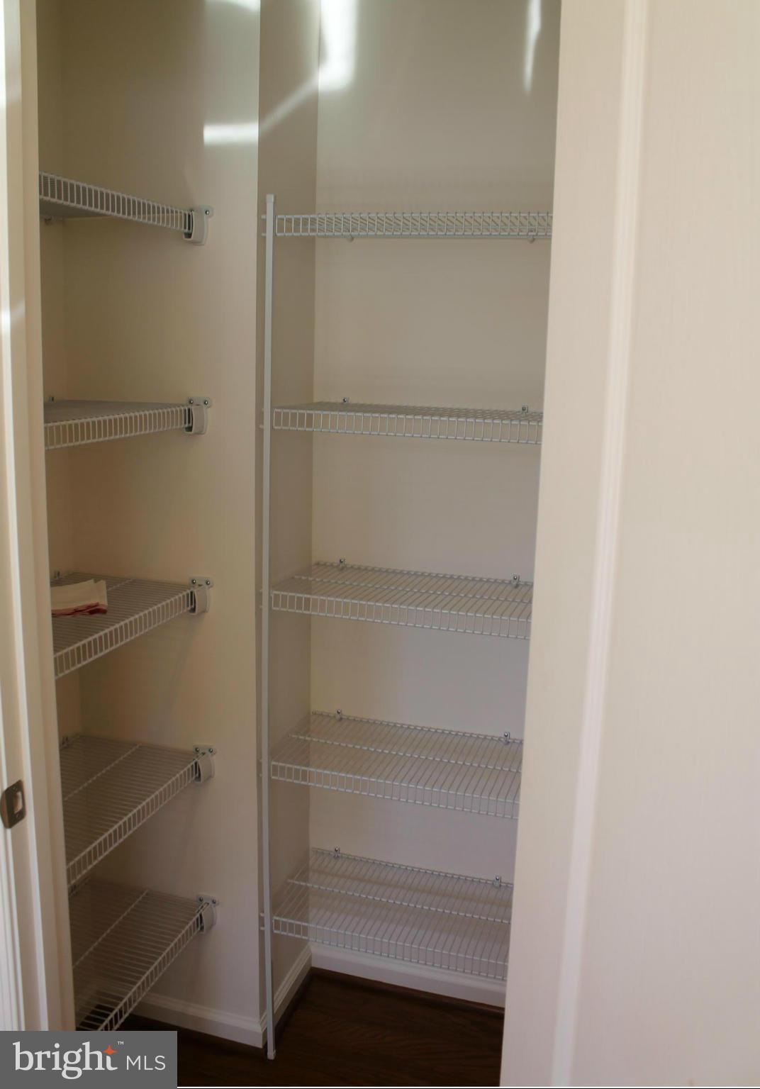 22017 Millwick Terrace Ashburn, VA 20148 - Photo 19 of 19 closet