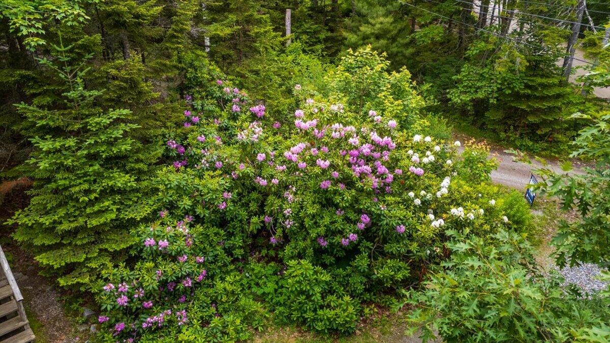 2 Schaefer Lane St. George, ME 04860 - Photo 47 of 55