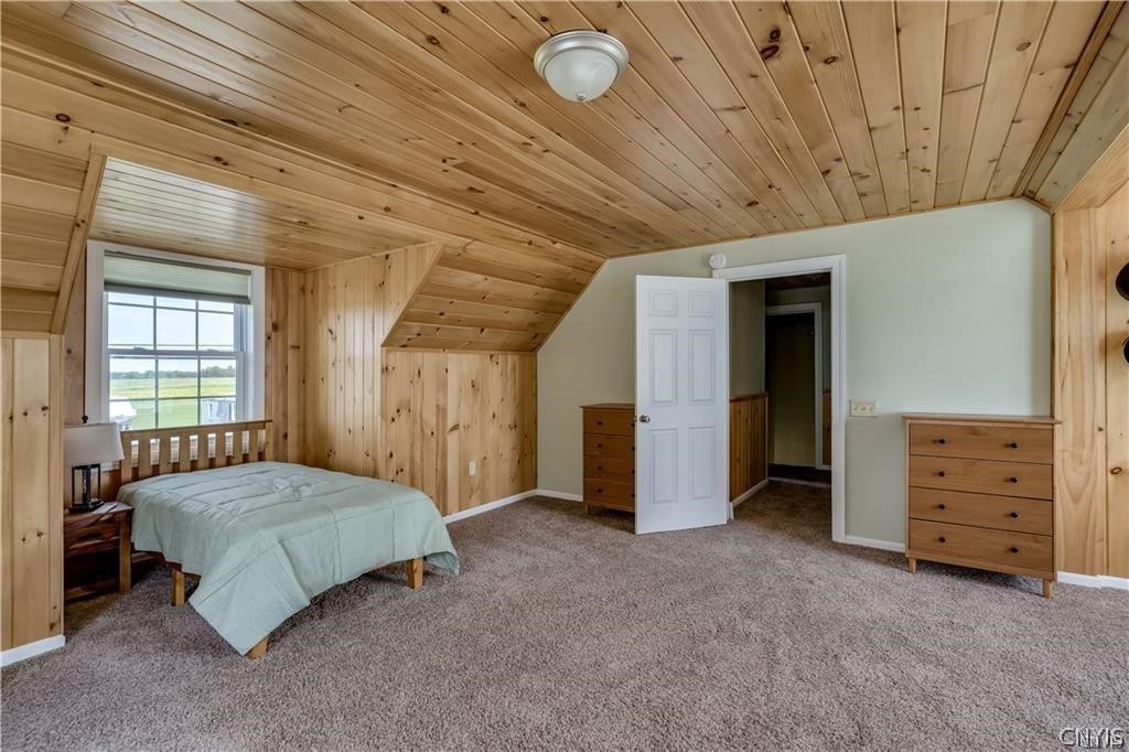 28008 Stony Point Road Cape Vincent, NY 13618 - Photo 30 of 47