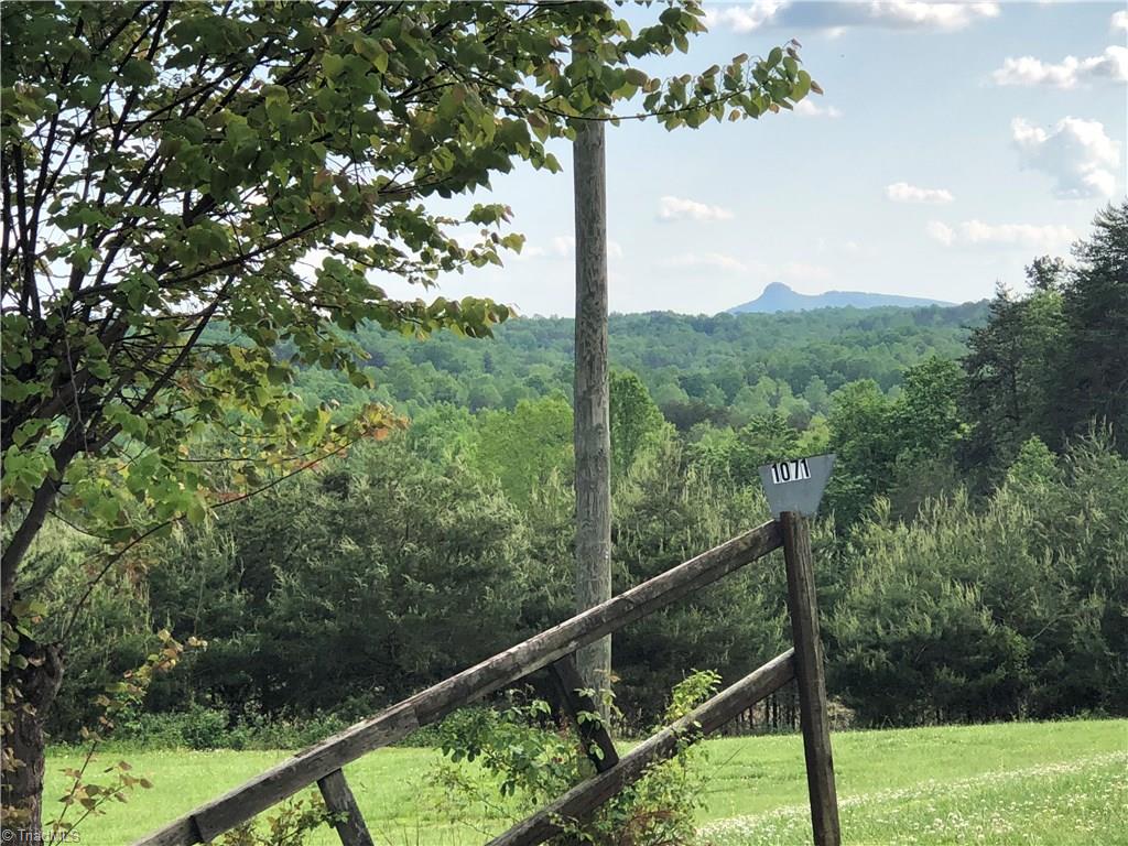 1071 Jackson Road Westfield, NC 27053 - Photo 2 of 19 Pilot Mountain View
