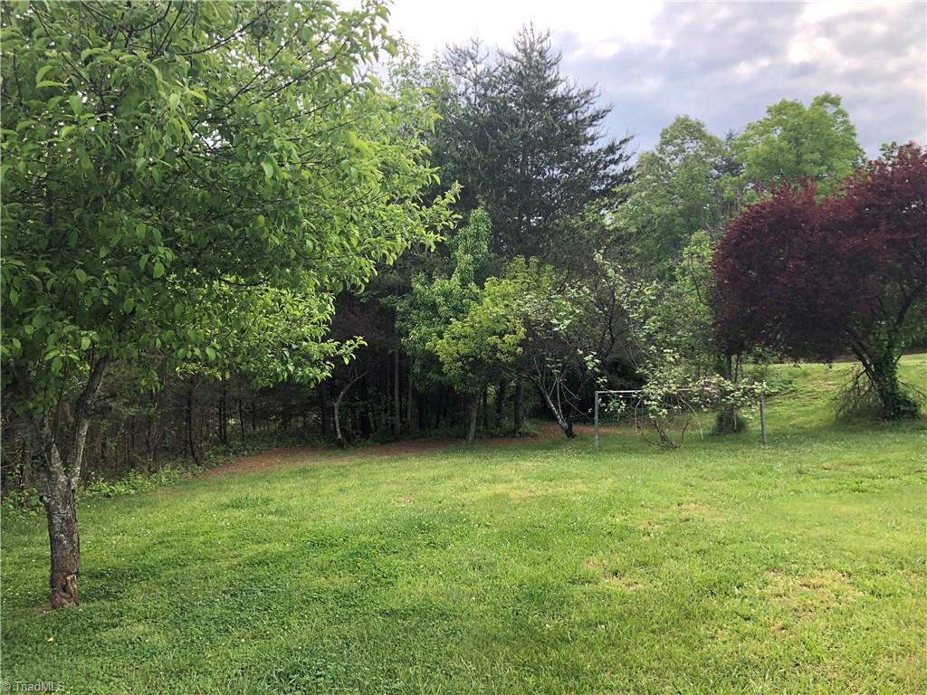 1071 Jackson Road Westfield, NC 27053 - Photo 4 of 19 Fruit Trees and Grapevine.