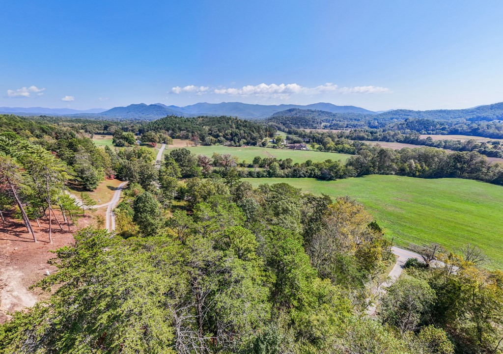 0 Mistletoe Ridge Murphy, NC 28906 - Photo 20 of 34