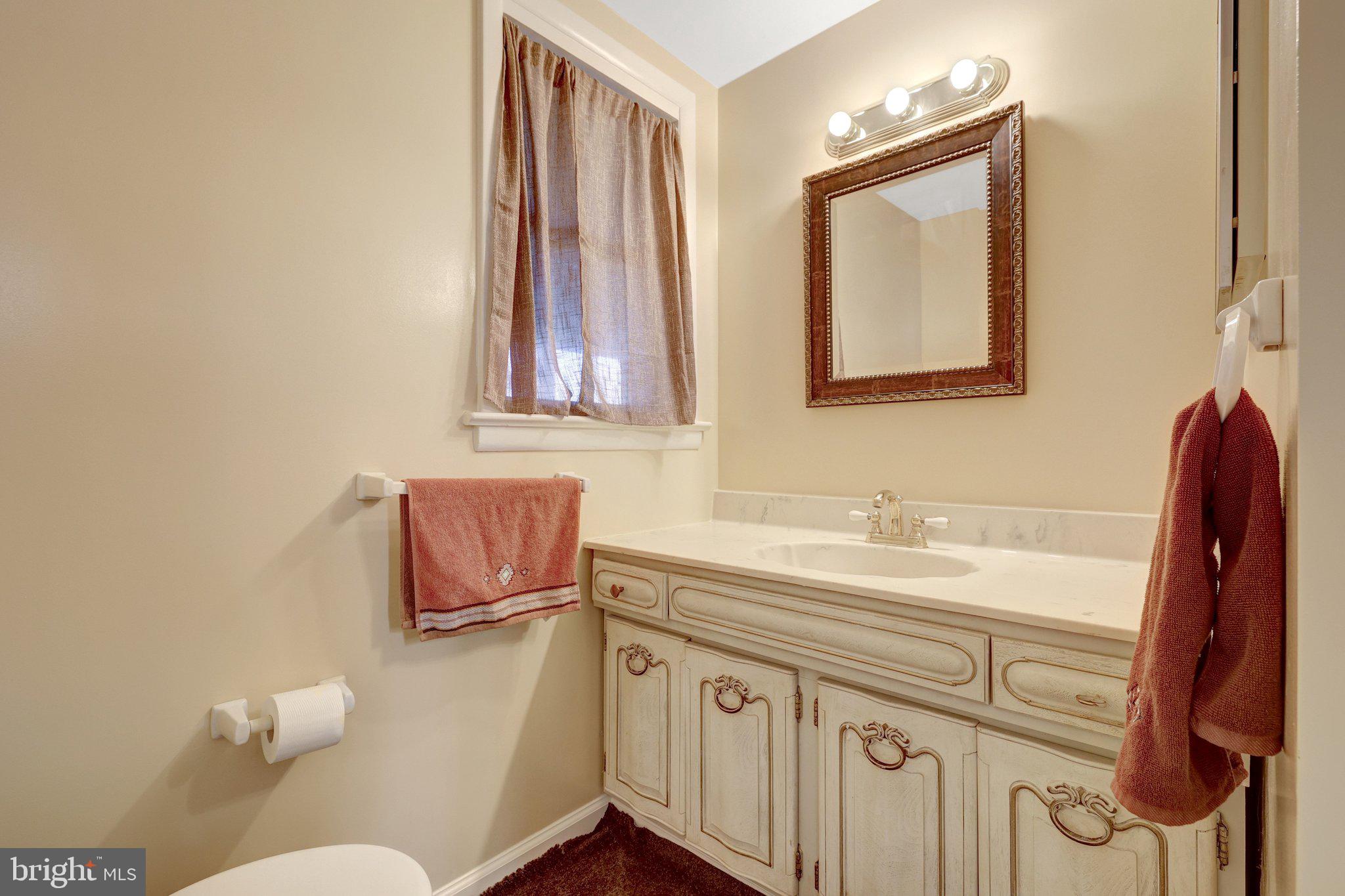203 Locust Street Southwest Vienna, VA 22180 - Photo 25 of 54 a bathroom with a sink and a mirror