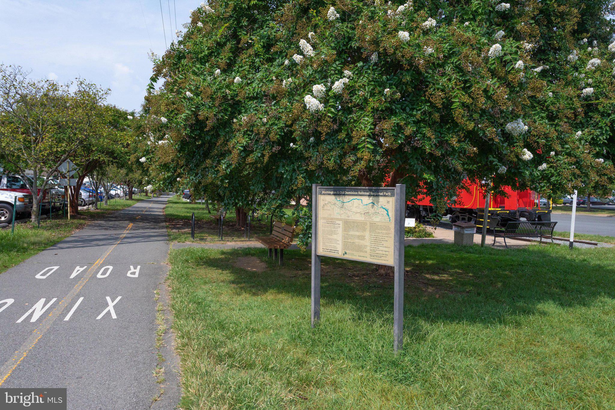 203 Locust Street Southwest Vienna, VA 22180 - Photo 47 of 54 a view of a park with large trees