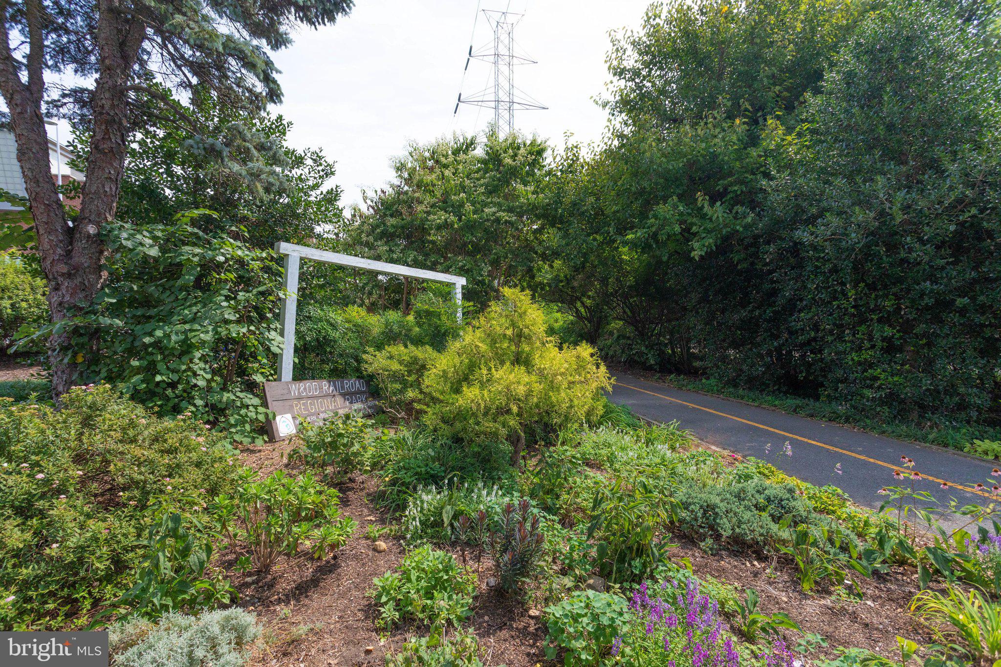 203 Locust Street Southwest Vienna, VA 22180 - Photo 52 of 54 a view of a garden