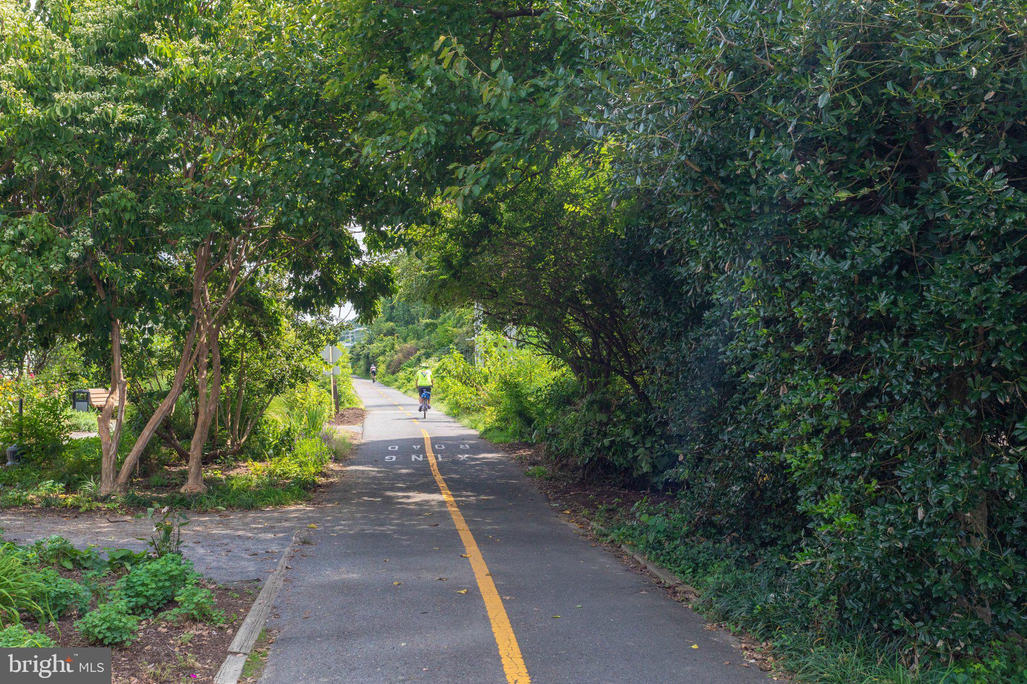 203 Locust Street Southwest Vienna, VA 22180 - Photo 53 of 54 a view of a pathway of a park