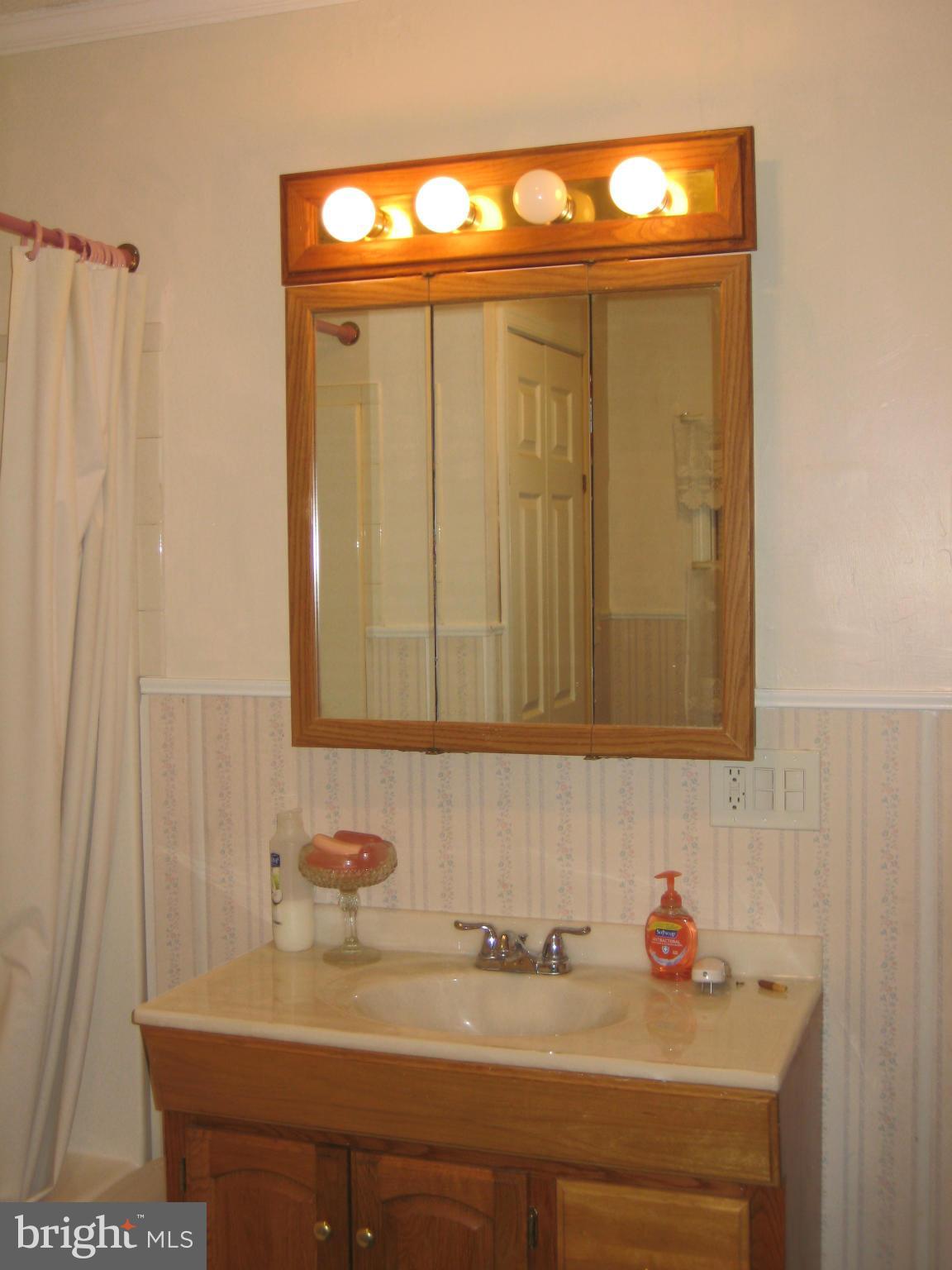 1309 4th Road Baltimore, MD 21220 - Photo 22 of 30 Bath