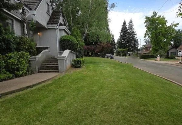 a view of street with houses and trees in the background