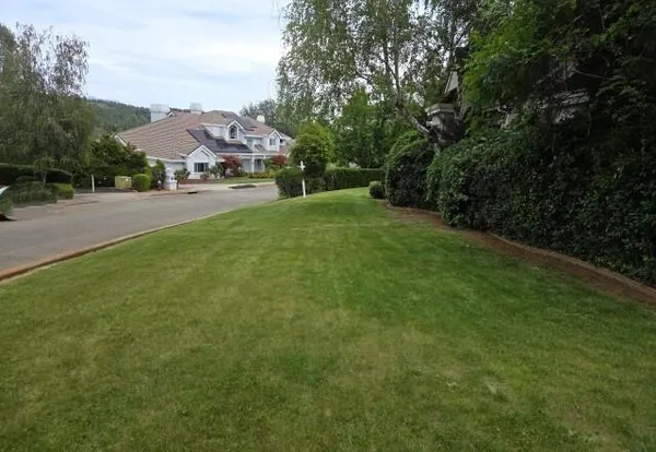 a view of a backyard with seating area
