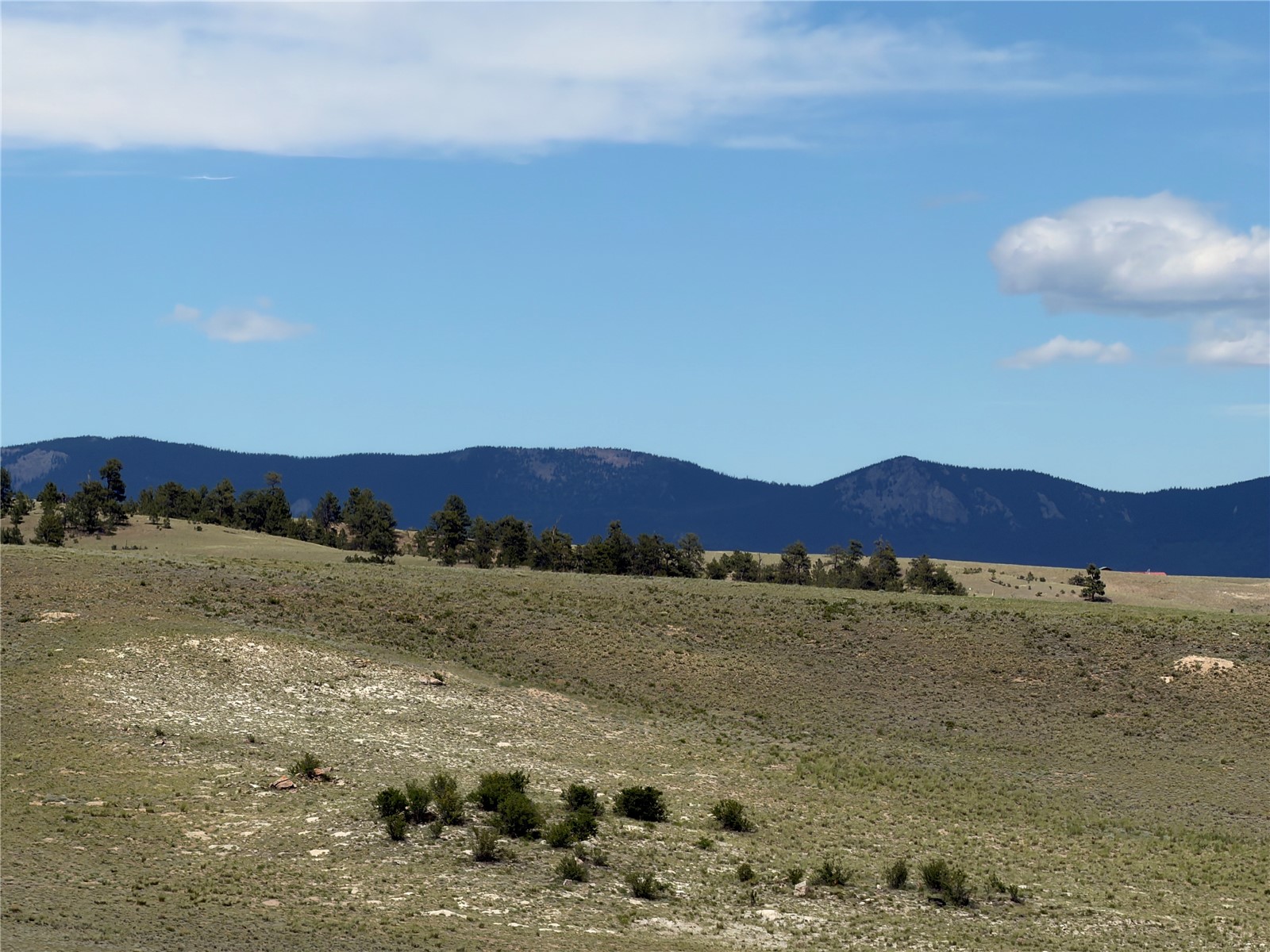 776 Commanche Trail Hartsel, CO 80449 - Photo 16 of 24