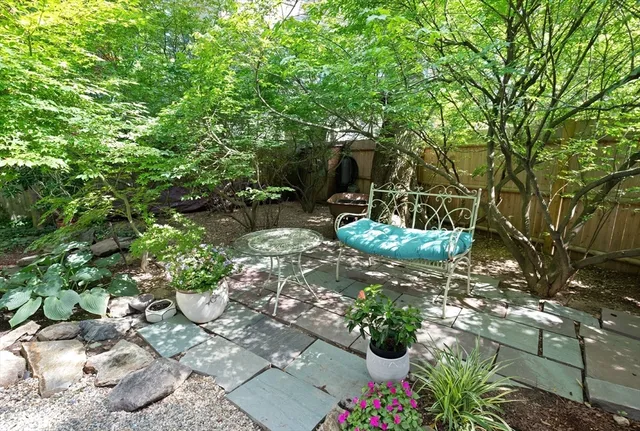 a view of a garden with a bench