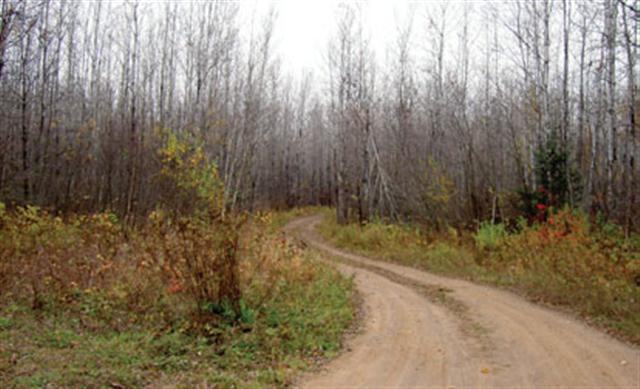 Xxx County Rd 156 Barnum, MN 55707 - Photo 3 of 9 Gallery Image 3