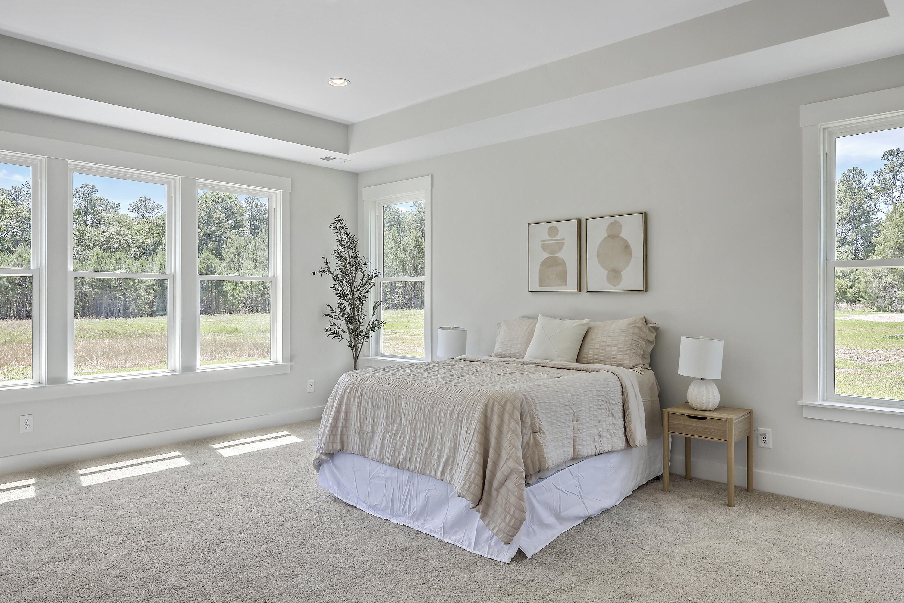 306 Mizell Road Dorchester, SC 29437 - Photo 20 of 54 Master Down