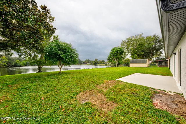 a view of green field with trees
