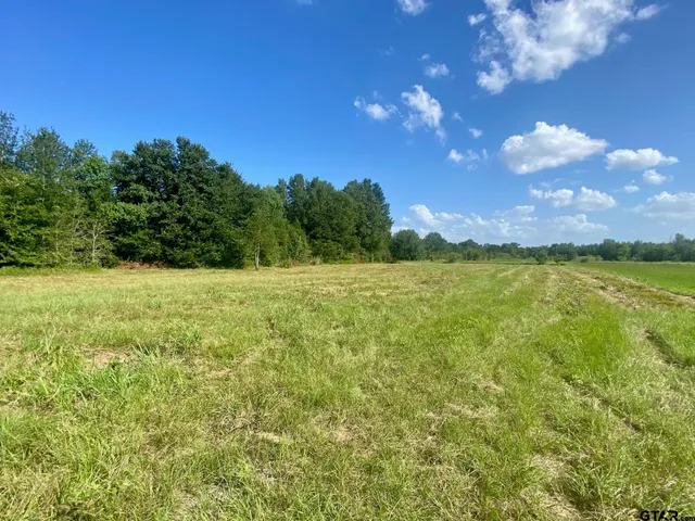 $14,000 | Lot #134 J B McDuff Drive, Crockett, TX 75835