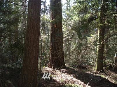 2300-2400 Birch Bay Lynden Road Custer, WA 98240 - Photo 1 of 1