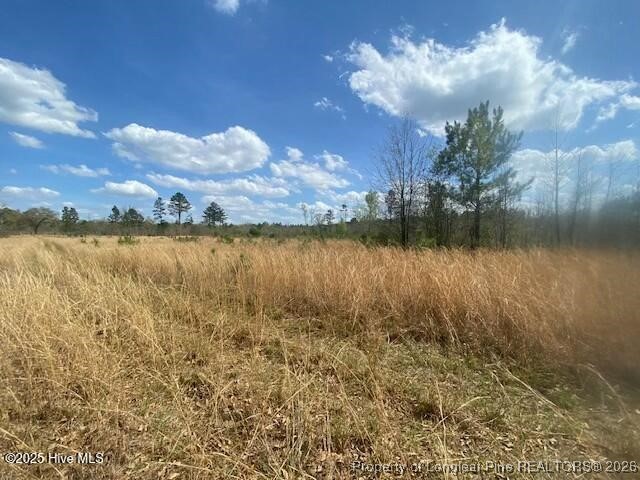 28385 Aberdeen Road Marston, NC 28363 - Photo 2 of 4 a view of a lake with outside space