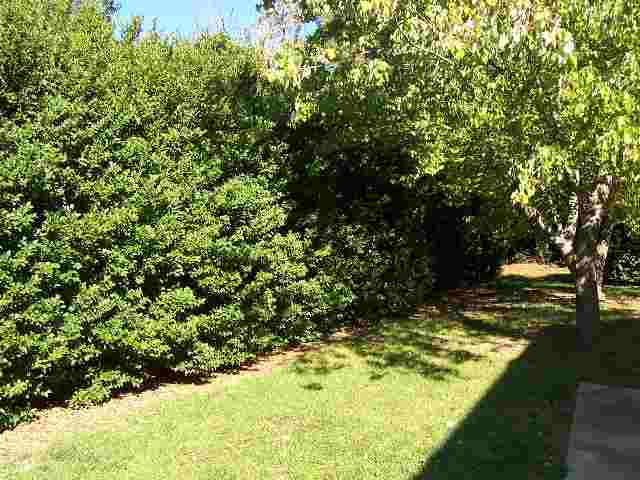 19 Pointer Lane Greenville, SC 29607 - Photo 3 of 3 Gallery Image 3