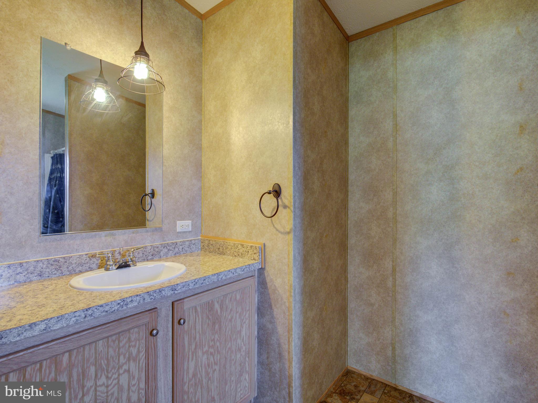 2109 Hatchery Road Inwood, WV 25428 - Photo 21 of 29 Bath (Master)