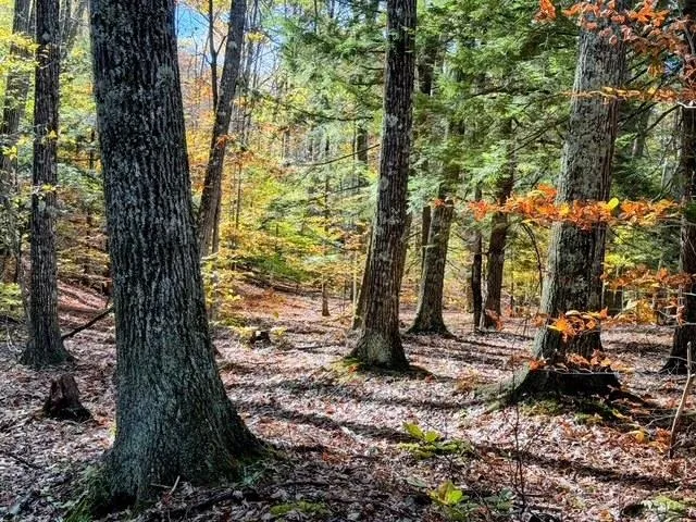 $249,000 | 29-31 White Brook Road, Gilsum, NH 03448