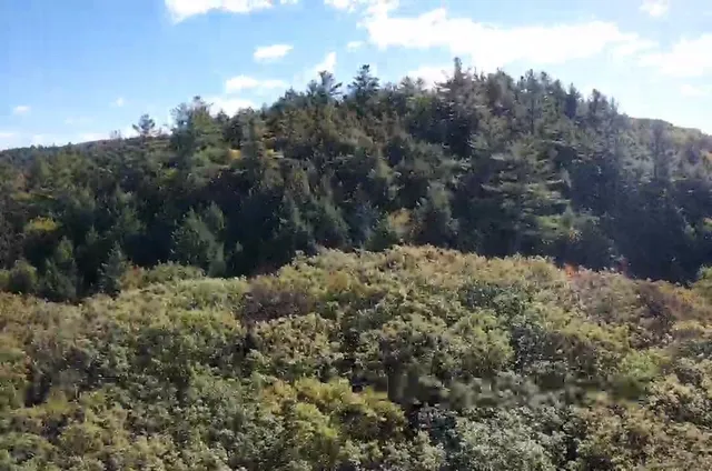 $249,000 | 29-31 White Brook Road, Gilsum, NH 03448