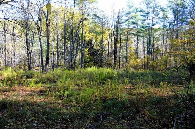 $249,000 | 29-31 White Brook Road, Gilsum, NH 03448