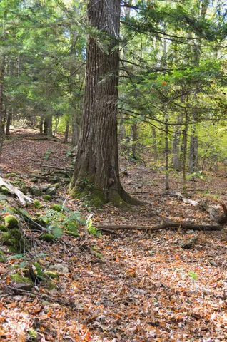 $249,000 | 29-31 White Brook Road, Gilsum, NH 03448