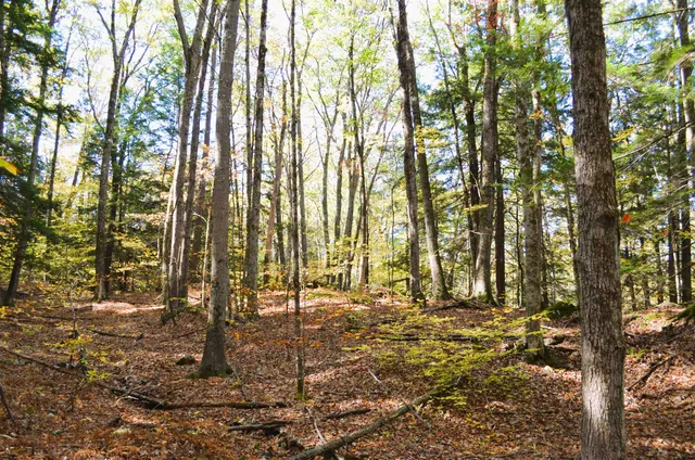 $249,000 | 29-31 White Brook Road, Gilsum, NH 03448