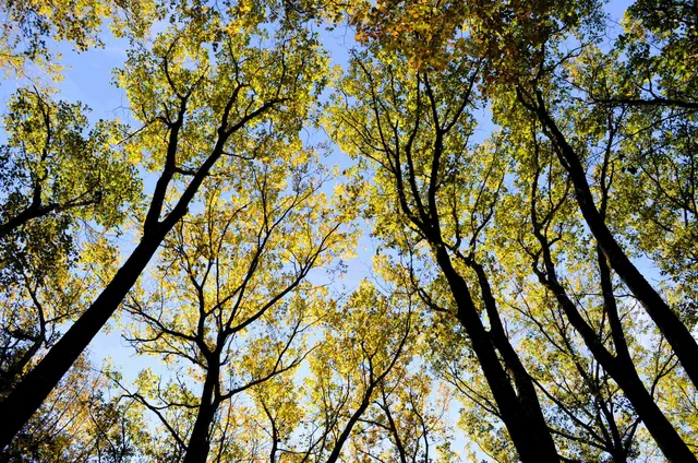 $249,000 | 29-31 White Brook Road, Gilsum, NH 03448