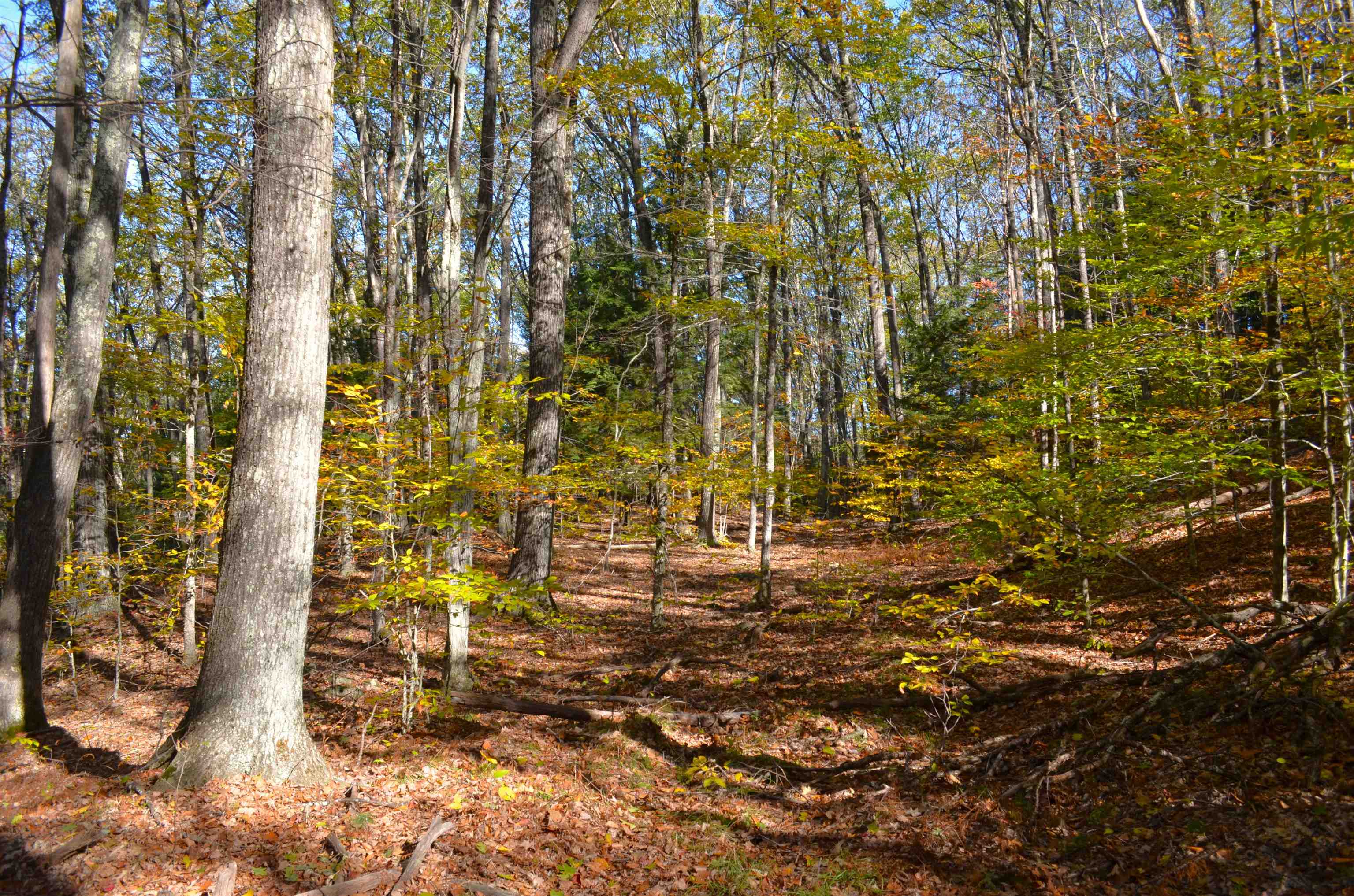 29-31 White Brook Road Gilsum, NH 03448 - Photo 7 of 17 Gallery Image 7