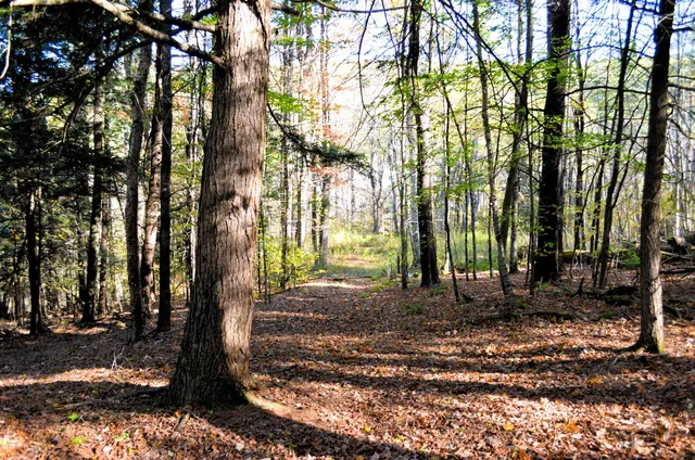 $249,000 | 29-31 White Brook Road, Gilsum, NH 03448