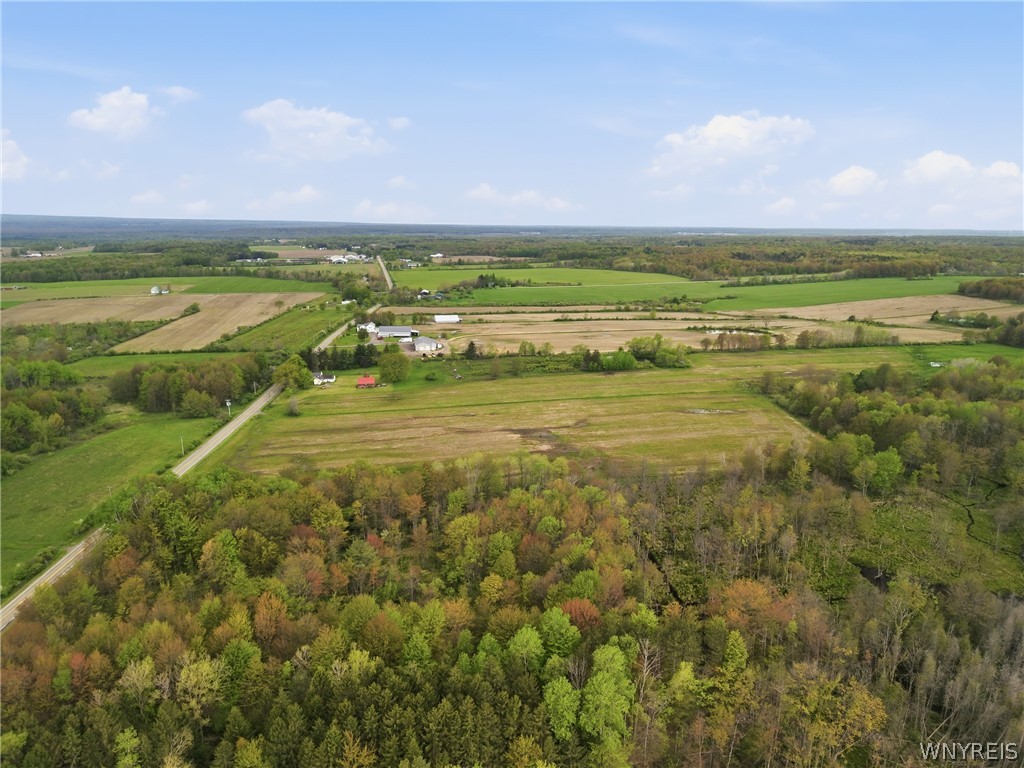 0 Genesee Road Lawtons, NY 14091 - Photo 4 of 34