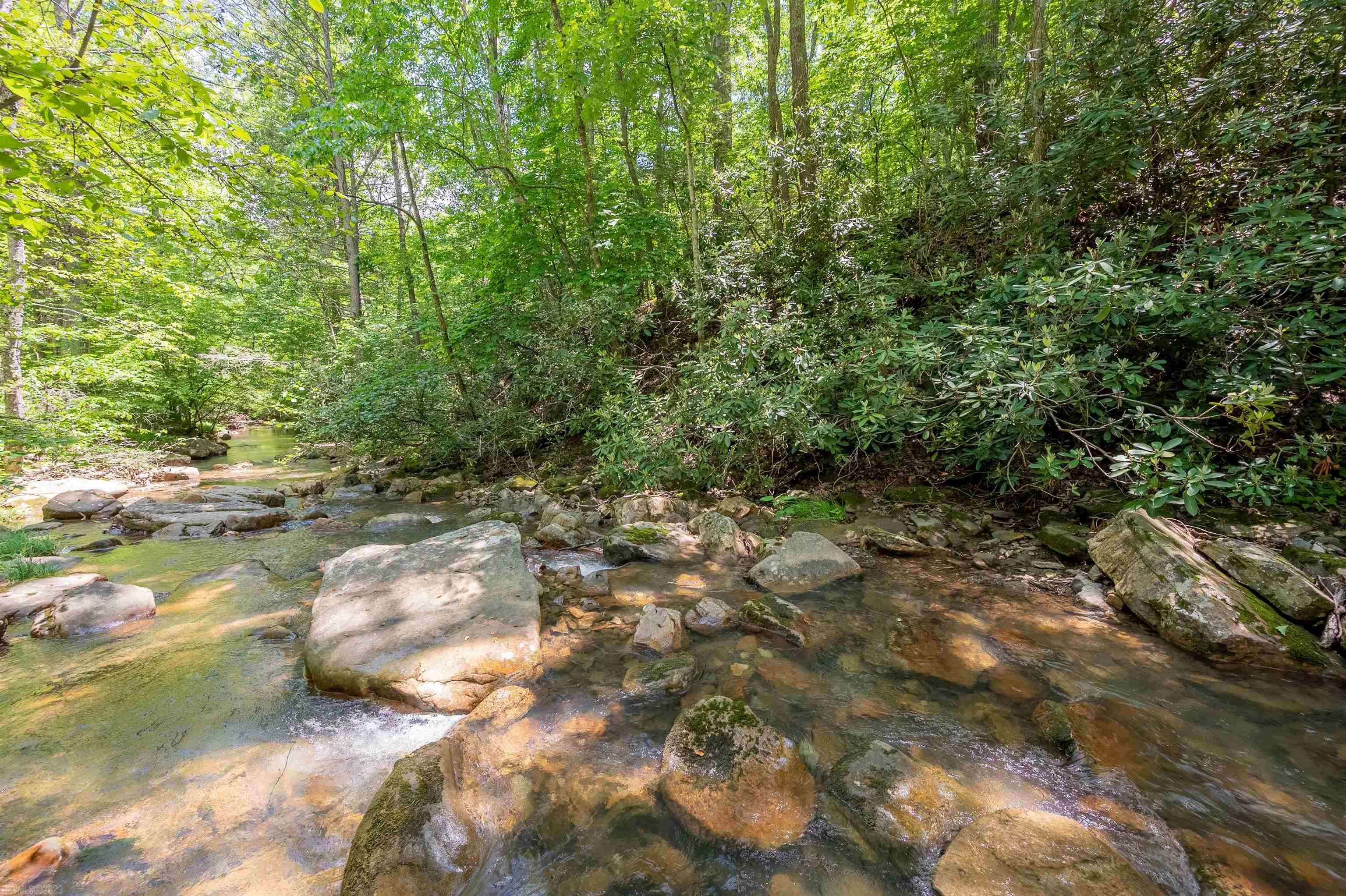 Tbd Tbd Dry Branch Road Dublin, VA 24084 - Photo 9 of 20 Gallery Image 9