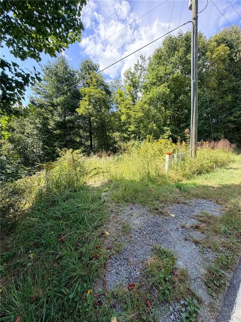 101 Pleasant Home Road Sparta, NC 28675 - Photo 1 of 18 Gallery Image 1