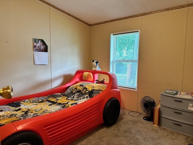 5502 Mt Morris Road Mount Morris, NY 14510 - Photo 11 of 16 2nd bedroom wall to all carpet , double closet too