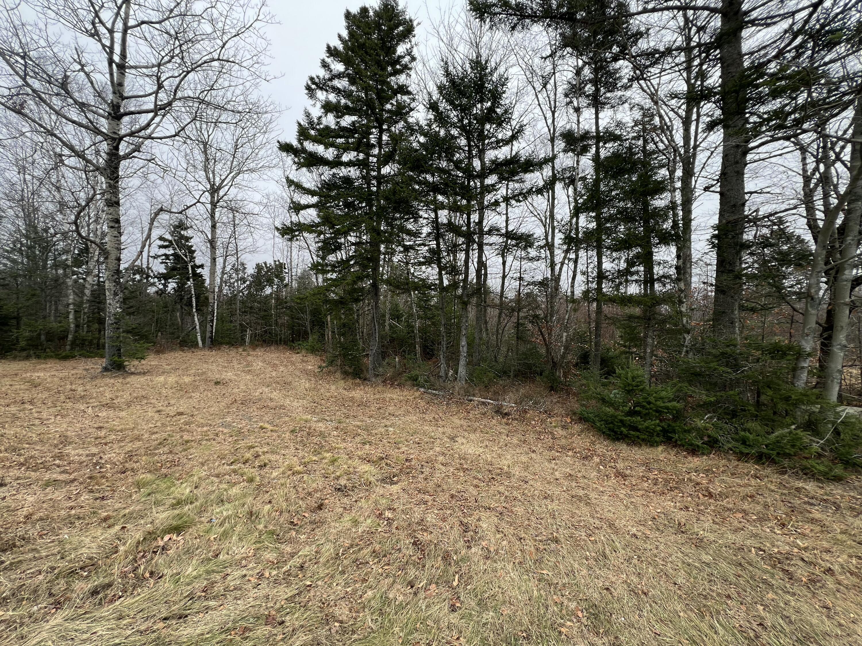 65-008 Airline Road Alexander, ME 04694 - Photo 6 of 7 IMG_5231